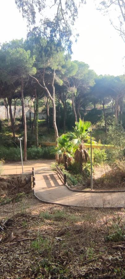 Beach Forest Paradise Марбелья Екстер'єр фото